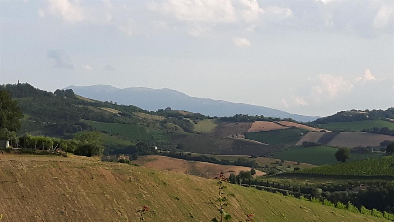 La Casa In Campagna Bed & Breakfast Cossignano Dış mekan fotoğraf