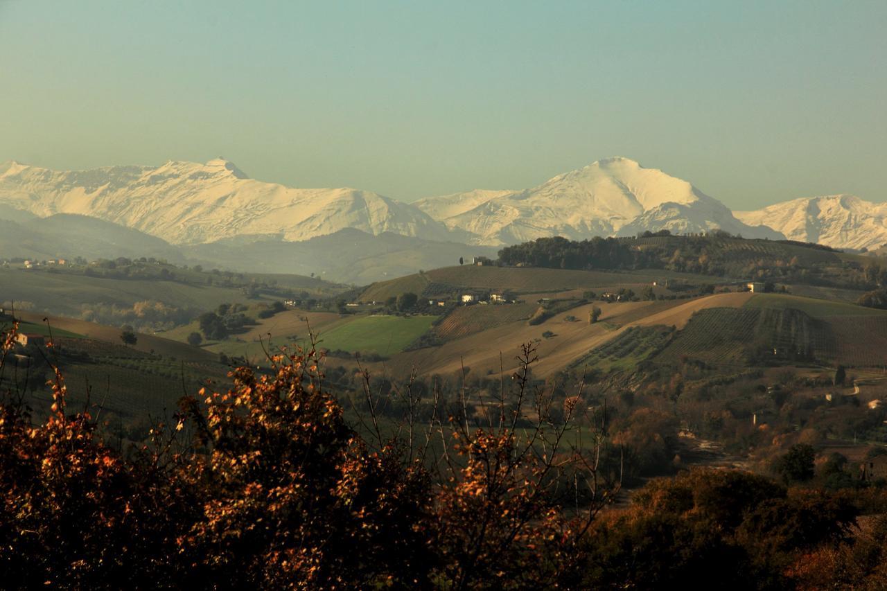 La Casa In Campagna Bed & Breakfast Cossignano Dış mekan fotoğraf